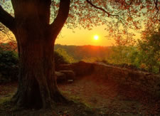 A Mix for Autumn - The Changing Light