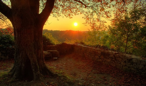 A Mix for Autumn - The Changing Light